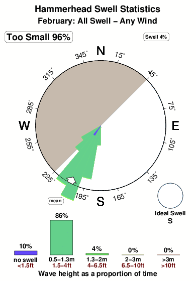 Hammerhead.surf.statistics.february