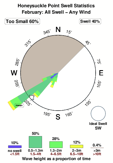 Honeysuckle point.surf.statistics.february