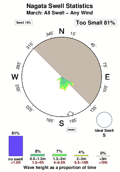 Nagata.surf.statistics.march