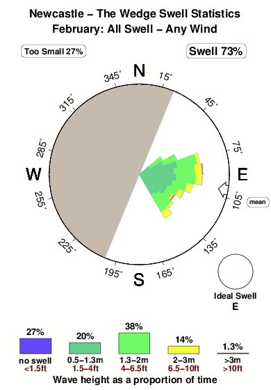 Newcastle the wedge.surf.statistics.february