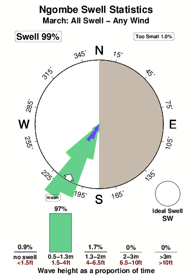 Ngombe.surf.statistics.march