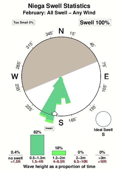 Niega.surf.statistics.february