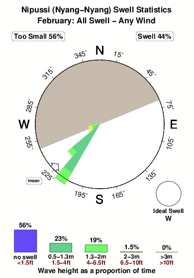 Nipussi.surf.statistics.february