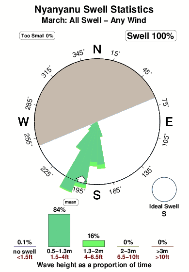 Nyanyanu.surf.statistics.march