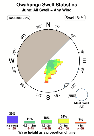 Owahanga.surf.statistics.june