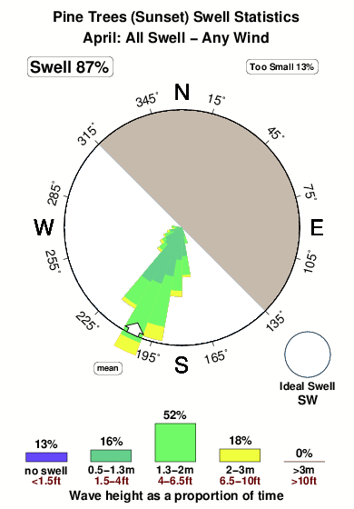 Pine trees 1.surf.statistics.april