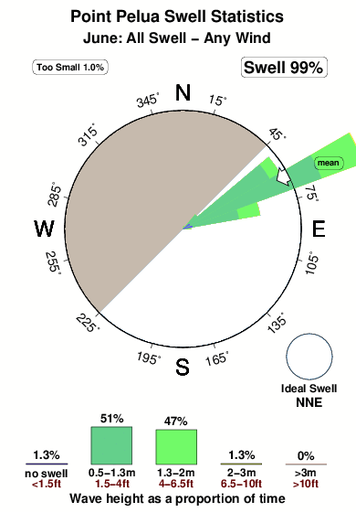 Point pelua.surf.statistics.june