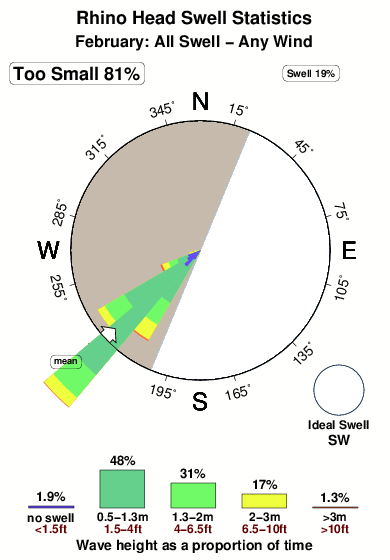 Rhino head.surf.statistics.february