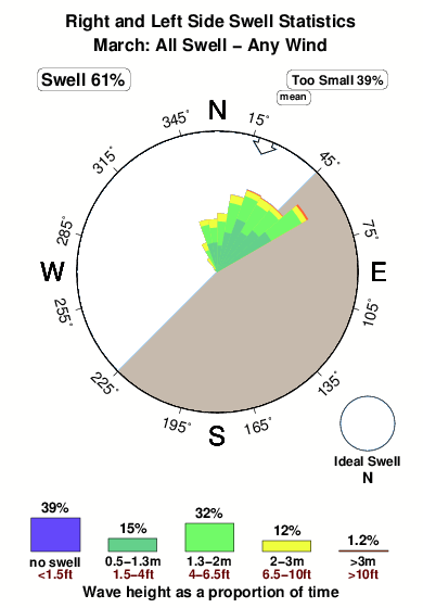 Right and left side.surf.statistics.march