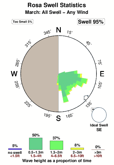 Rosa.surf.statistics.march