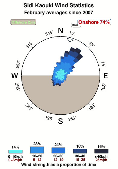 Sidi kaouki.wind.statistics.february