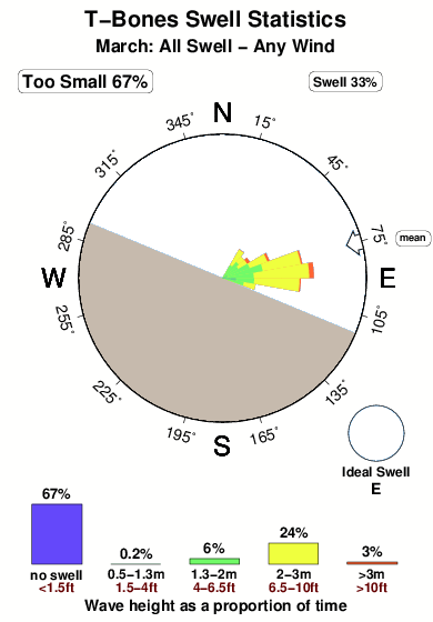 T bones.surf.statistics.march
