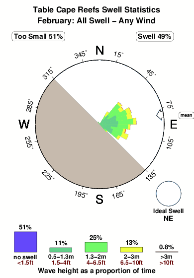 Table cape reefs.surf.statistics.february