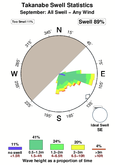 Takanabe.surf.statistics.september