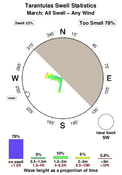 Tarantulas.surf.statistics.march