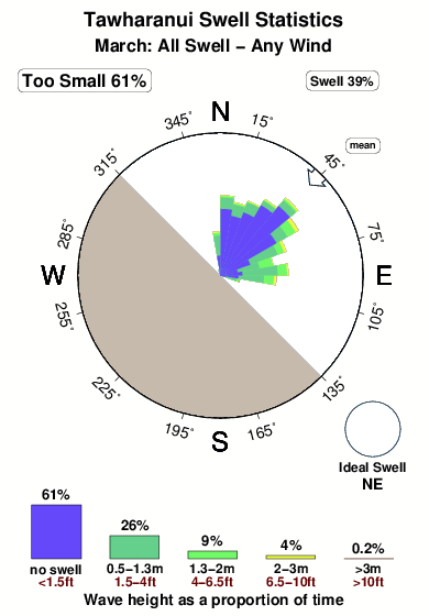 Tawharanui.surf.statistics.march