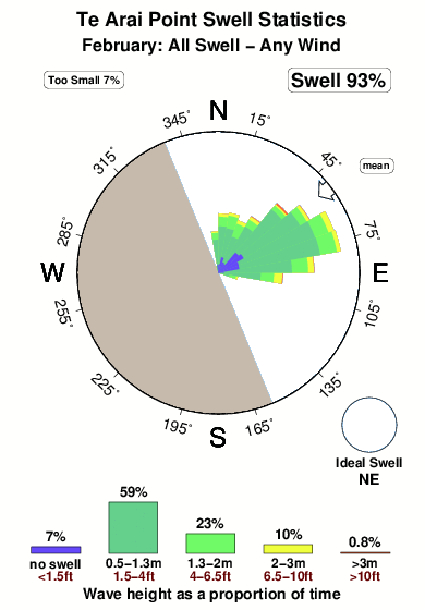 Te arai point.surf.statistics.february