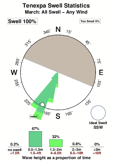 Tenexpa.surf.statistics.march