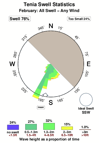 Tenia.surf.statistics.february