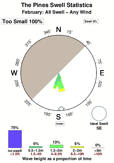 The pines.surf.statistics.february