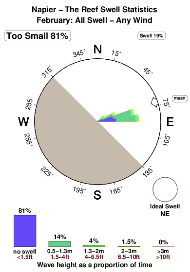 The reef napier.surf.statistics.february