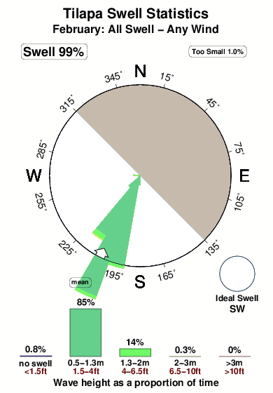 Tilapa.surf.statistics.february