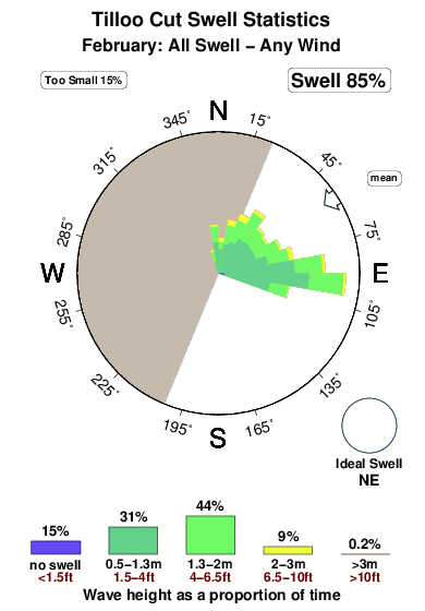 Tilloo cut.surf.statistics.february