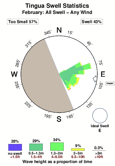 Tingua.surf.statistics.february