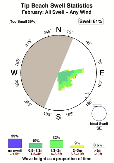 Tip beach.surf.statistics.february
