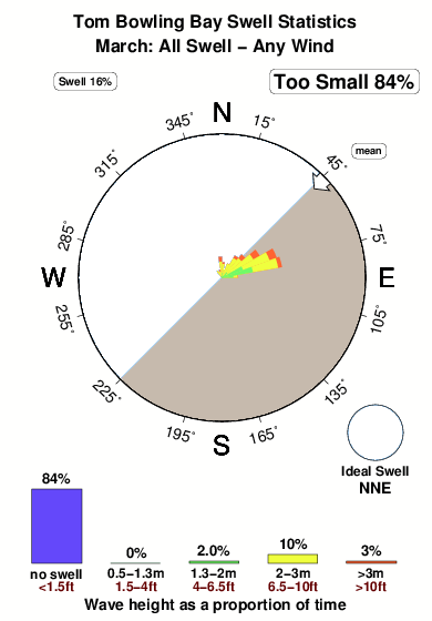 Tom bowling bay.surf.statistics.march