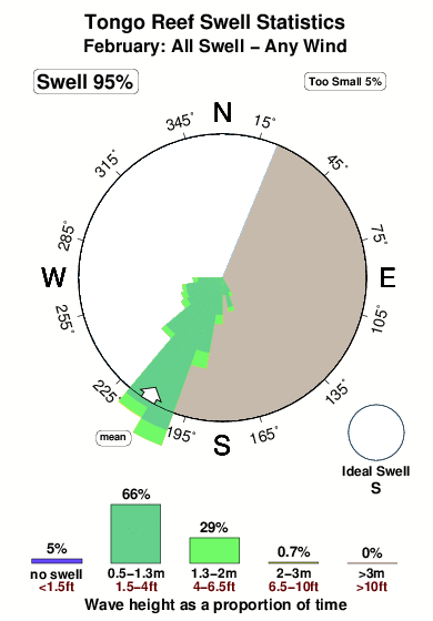 Tongo reef.surf.statistics.february