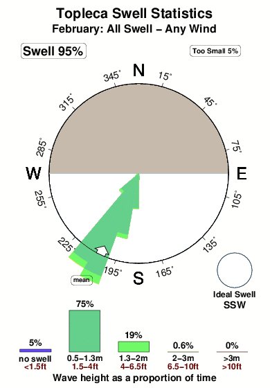 Topleca.surf.statistics.february
