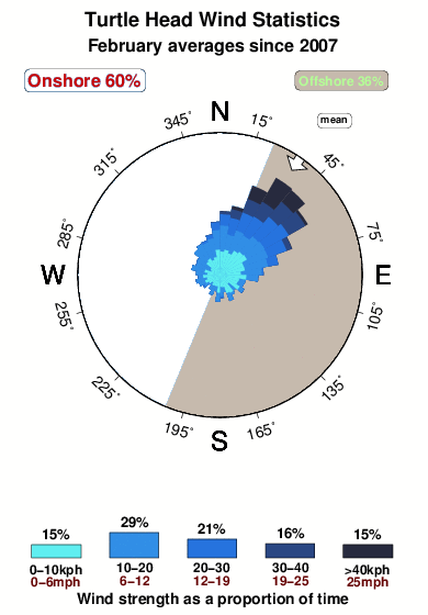 Turtle head.wind.statistics.february