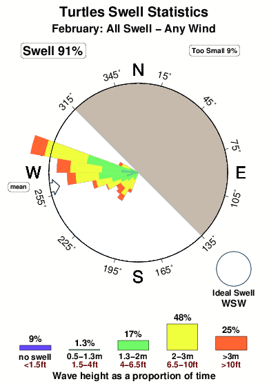 Turtles 5.surf.statistics.february