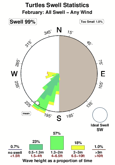 Turtles.surf.statistics.february