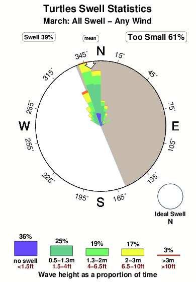Turtles 1.surf.statistics.march