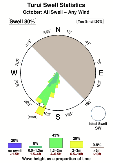 Turui.surf.statistics.october
