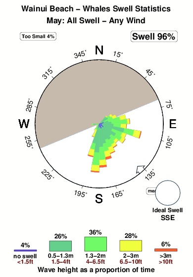 Wainui beach whales.surf.statistics.may