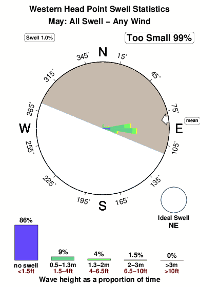 Western head point.surf.statistics.may