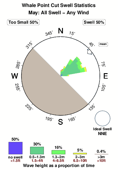 Whale point cut.surf.statistics.may