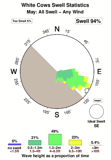 White cows.surf.statistics.may