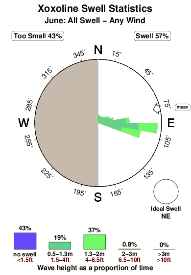 Xoxoline.surf.statistics.june