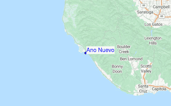 Ano Nuevo Surfing