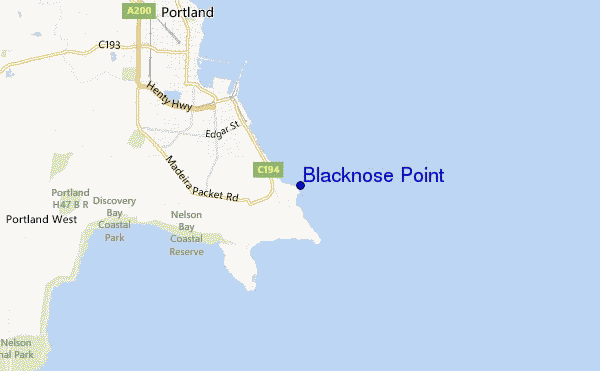Blacknose point.12