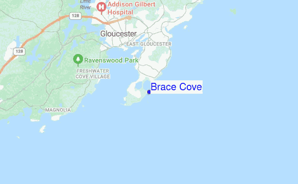 Brace Cove location map