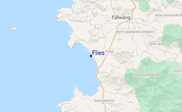 Flies location map