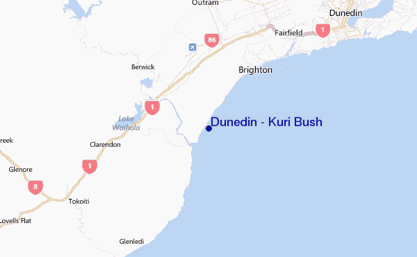 Dunedin - Kuri Bush Location Map