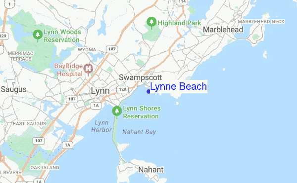 Lynne Beach location map