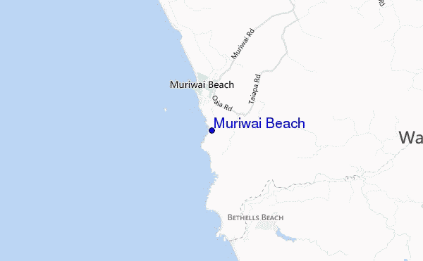 Muriwai beach.12