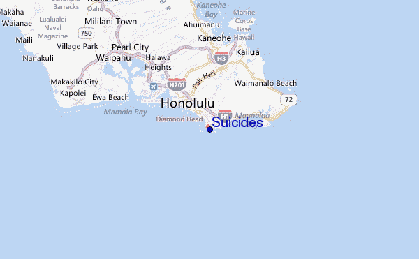 Suicides Location Map